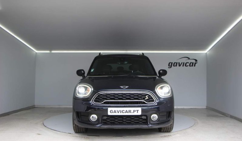 
								Mini Countryman full									