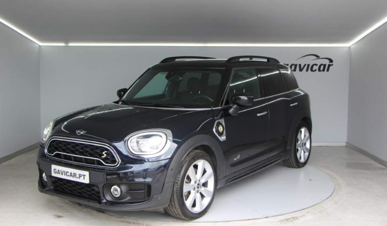 
								Mini Countryman full									
