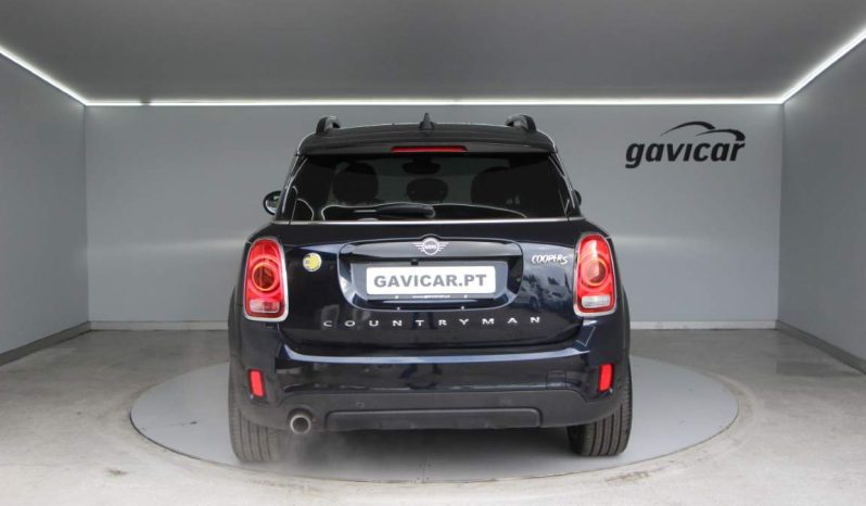 
								Mini Countryman full									