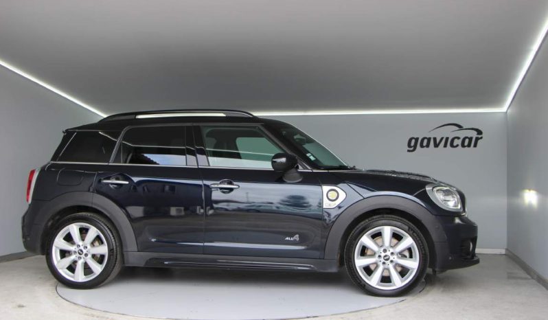 
								Mini Countryman full									