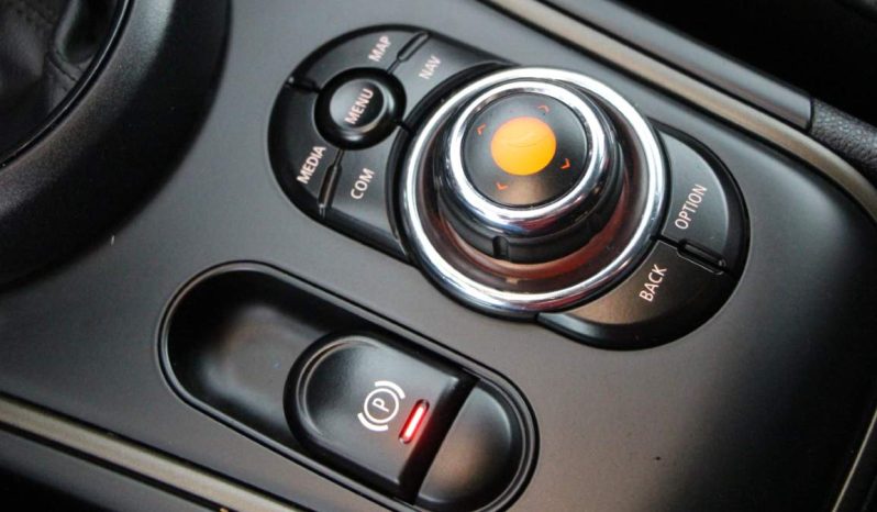 
								Mini Countryman full									