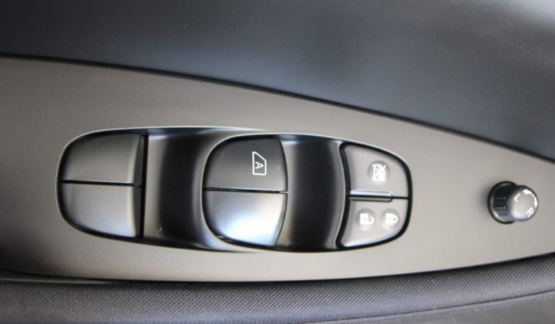 
								Nissan Leaf e+ full									