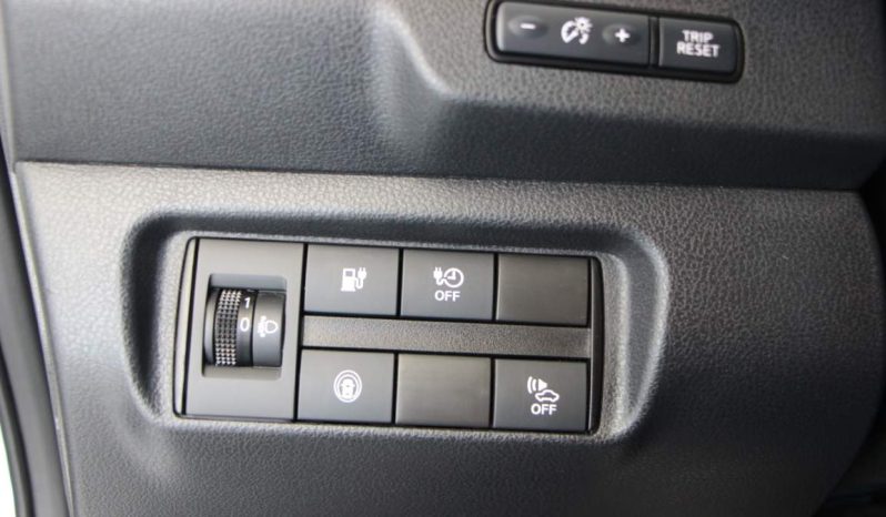 
								Nissan Leaf e+ full									