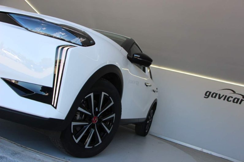 DS DS3 54kWh