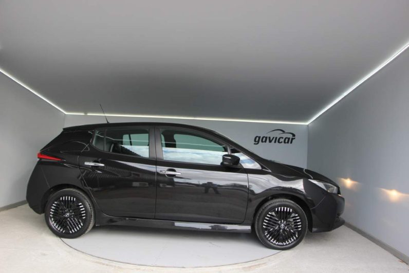 Nissan Leaf e+