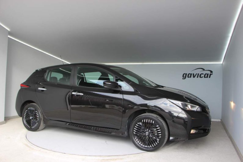 Nissan Leaf e+
